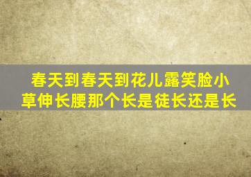 春天到春天到花儿露笑脸小草伸长腰那个长是徒长还是长