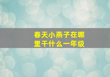 春天小燕子在哪里干什么一年级