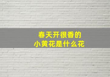 春天开很香的小黄花是什么花