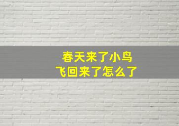 春天来了小鸟飞回来了怎么了