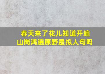 春天来了花儿知道开遍山岗鸿遍原野是拟人句吗