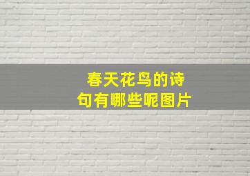 春天花鸟的诗句有哪些呢图片