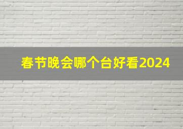 春节晚会哪个台好看2024