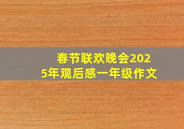 春节联欢晚会2025年观后感一年级作文