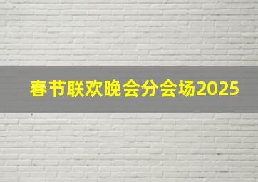 春节联欢晚会分会场2025