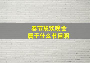 春节联欢晚会属于什么节目啊