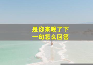 是你来晚了下一句怎么回答