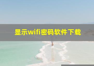 显示wifi密码软件下载