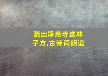 晓出净慈寺送林子方,古诗词朗读