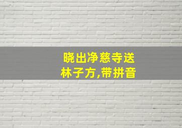 晓出净慈寺送林子方,带拼音