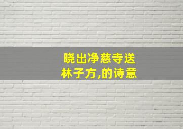 晓出净慈寺送林子方,的诗意