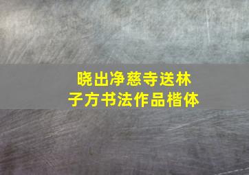 晓出净慈寺送林子方书法作品楷体