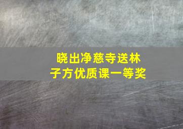 晓出净慈寺送林子方优质课一等奖