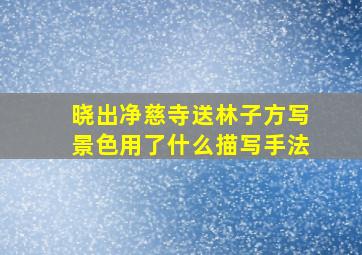 晓出净慈寺送林子方写景色用了什么描写手法