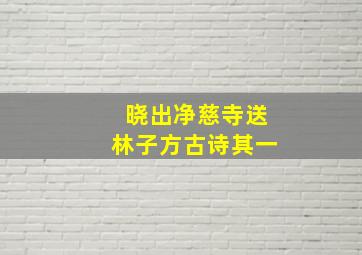 晓出净慈寺送林子方古诗其一