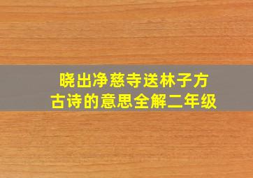 晓出净慈寺送林子方古诗的意思全解二年级