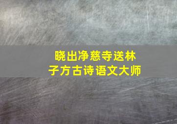 晓出净慈寺送林子方古诗语文大师