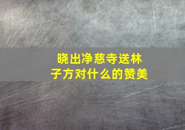 晓出净慈寺送林子方对什么的赞美