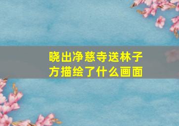 晓出净慈寺送林子方描绘了什么画面