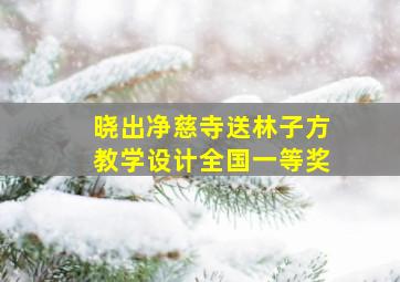 晓出净慈寺送林子方教学设计全国一等奖