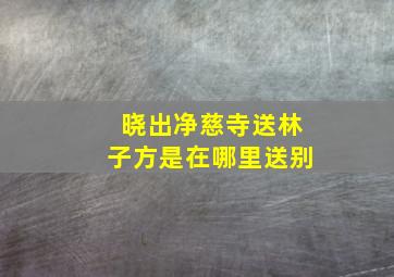 晓出净慈寺送林子方是在哪里送别