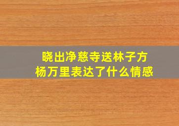 晓出净慈寺送林子方杨万里表达了什么情感