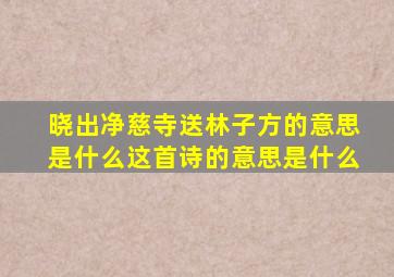 晓出净慈寺送林子方的意思是什么这首诗的意思是什么