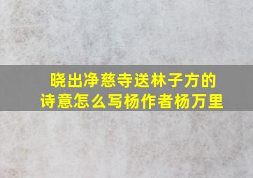 晓出净慈寺送林子方的诗意怎么写杨作者杨万里