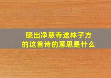 晓出净慈寺送林子方的这首诗的意思是什么