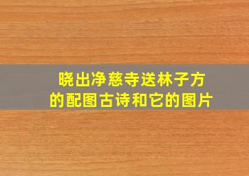 晓出净慈寺送林子方的配图古诗和它的图片