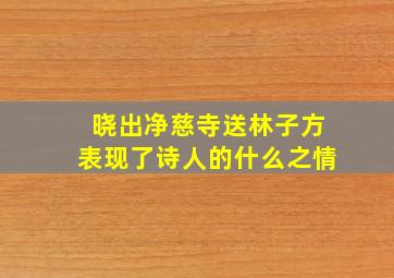 晓出净慈寺送林子方表现了诗人的什么之情