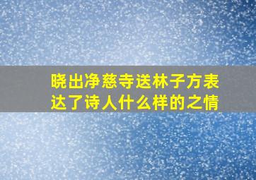 晓出净慈寺送林子方表达了诗人什么样的之情