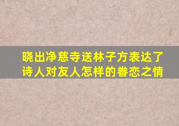 晓出净慈寺送林子方表达了诗人对友人怎样的眷恋之情