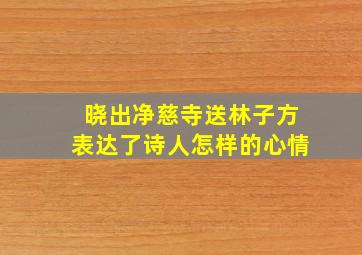 晓出净慈寺送林子方表达了诗人怎样的心情