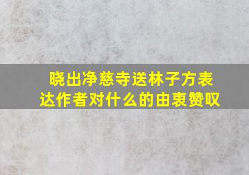 晓出净慈寺送林子方表达作者对什么的由衷赞叹