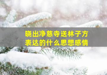 晓出净慈寺送林子方表达的什么思想感情