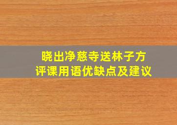 晓出净慈寺送林子方评课用语优缺点及建议