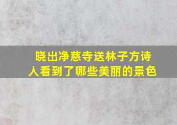 晓出净慈寺送林子方诗人看到了哪些美丽的景色