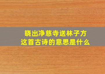 晓出净慈寺送林子方这首古诗的意思是什么