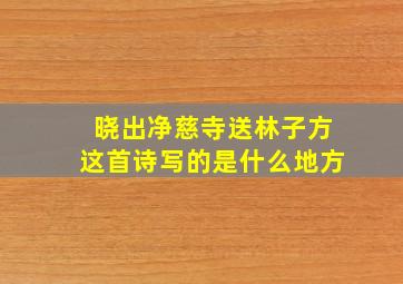 晓出净慈寺送林子方这首诗写的是什么地方