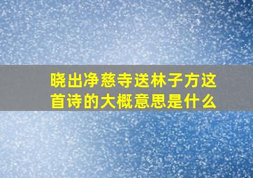 晓出净慈寺送林子方这首诗的大概意思是什么