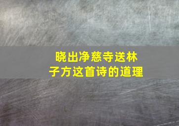 晓出净慈寺送林子方这首诗的道理