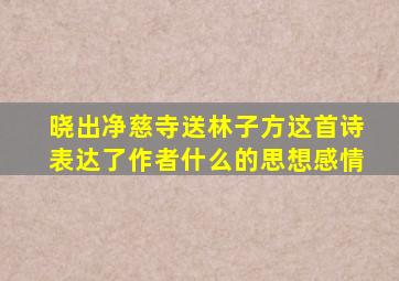 晓出净慈寺送林子方这首诗表达了作者什么的思想感情