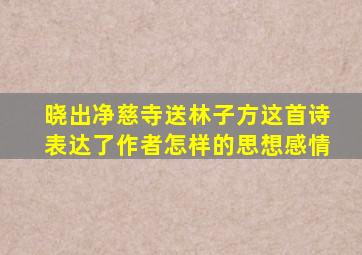 晓出净慈寺送林子方这首诗表达了作者怎样的思想感情