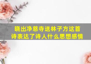 晓出净慈寺送林子方这首诗表达了诗人什么思想感情