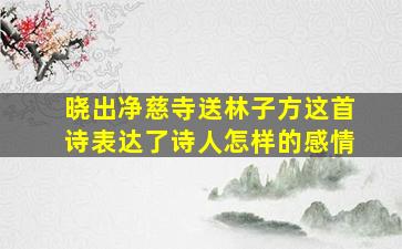 晓出净慈寺送林子方这首诗表达了诗人怎样的感情