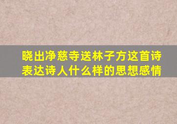 晓出净慈寺送林子方这首诗表达诗人什么样的思想感情