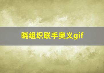 晓组织联手奥义gif