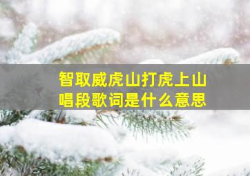 智取威虎山打虎上山唱段歌词是什么意思