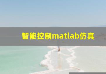 智能控制matlab仿真